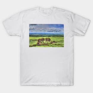 Dartmoor National Park Devon T-Shirt